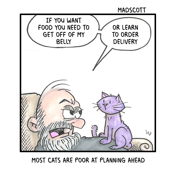 Cat Planning